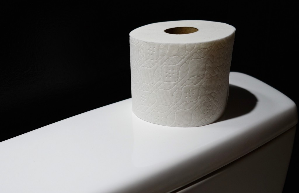 In Defense of Cheap Toilet Paper - The Billfold In Defense of Cheap Toilet Paper - The Billfold