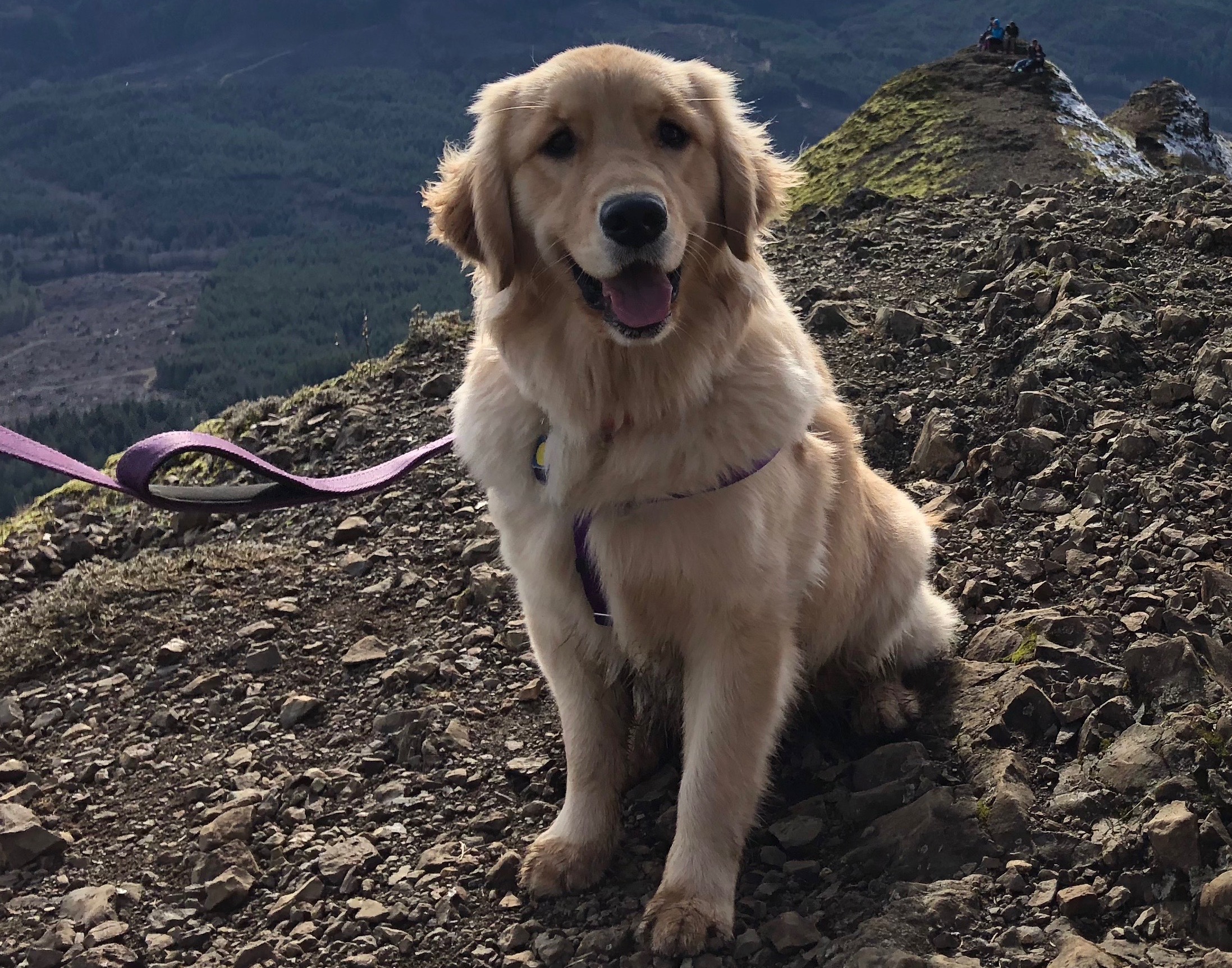 how-a-credit-union-branch-manager-with-an-adorable-dog-does-money-the